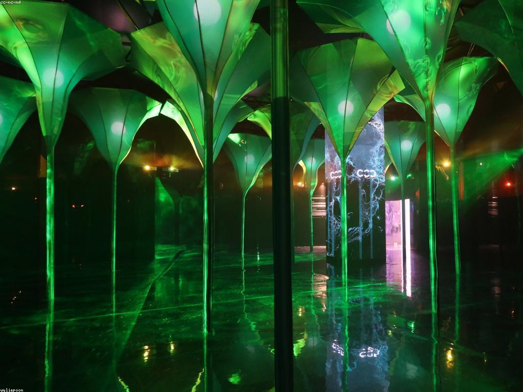 ការពិនិត្យនិងវាយតម្លៃឧបករណ៍ស្លុត