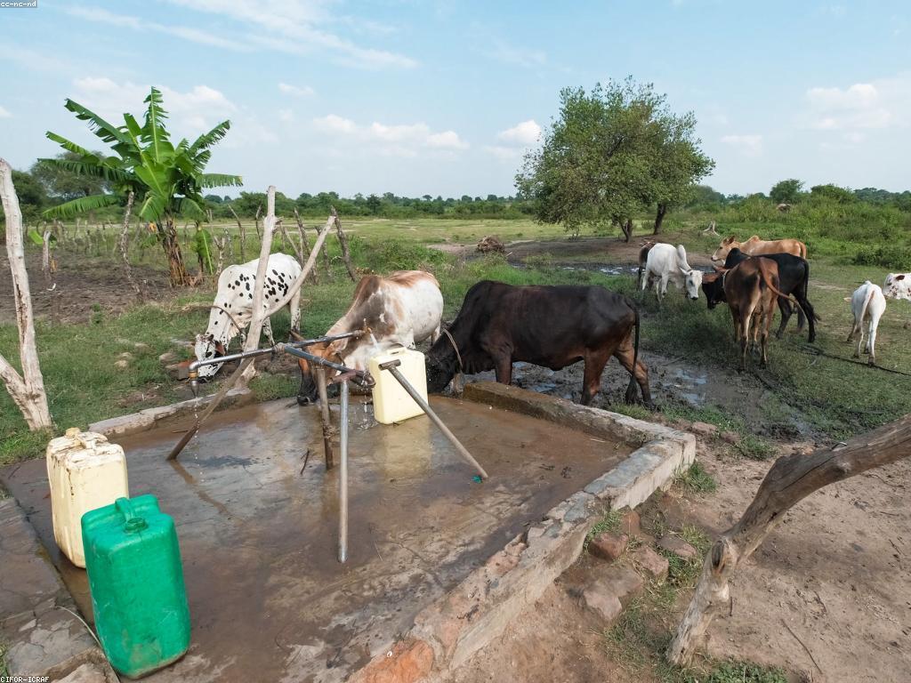 វិធីសាស្ត្រប្រើប្រាស់ឧបករណ៍សហការណ៍ដើម្បីបង្កើនផលិតភាព